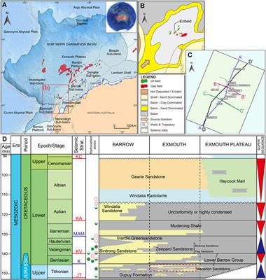 A workflow for turbidite reservoir characterization—a case study of the Macedon member, Northern Carnarvon Basin, NW Australia